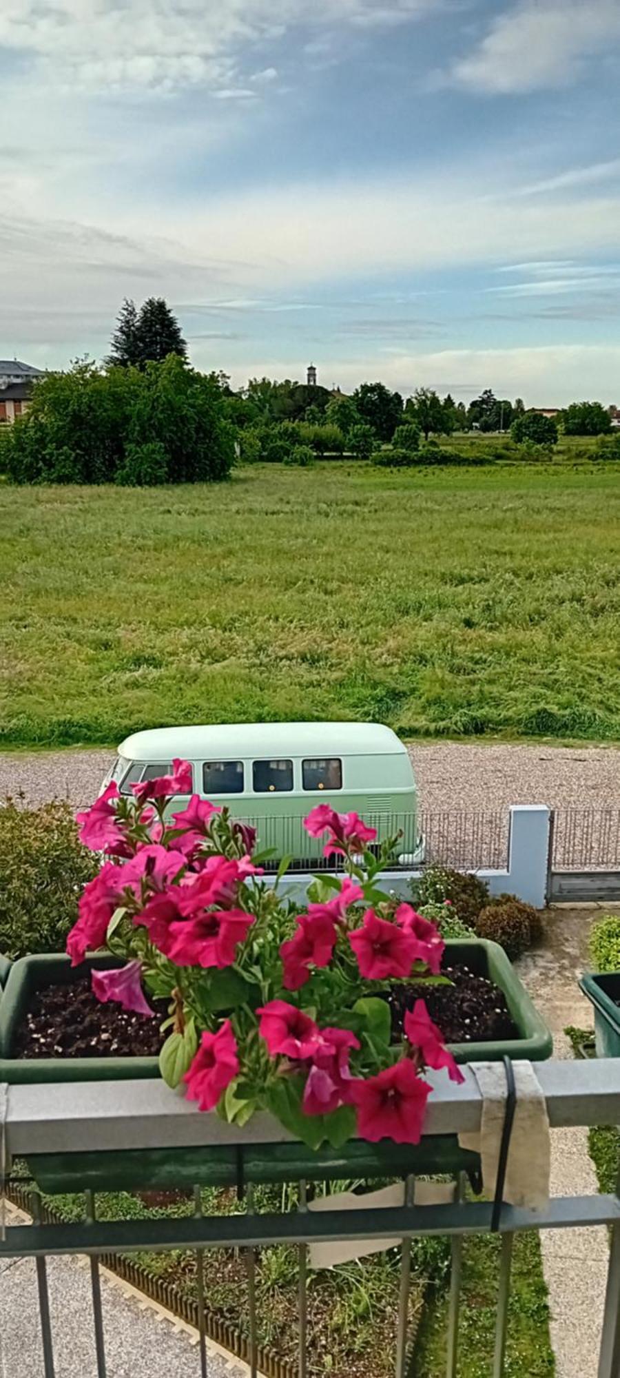 Bed and Breakfast La Cjase Di Pieri E Vilme Udine Exterior foto