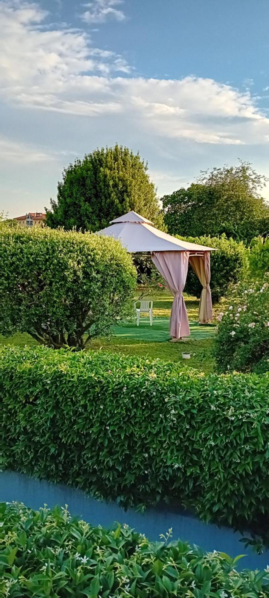 Bed and Breakfast La Cjase Di Pieri E Vilme Udine Exterior foto